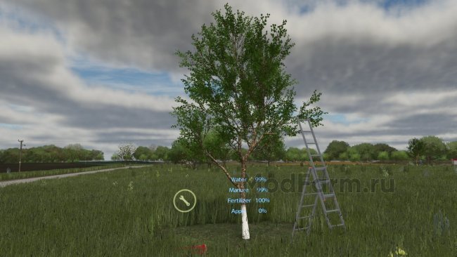 Выращивание яблок - New Apple Tree главная картинка