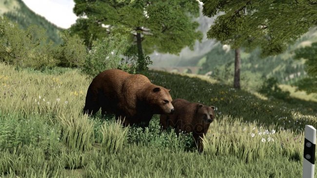 Decorative Placeable Grizzly Bears Pack главная картинка