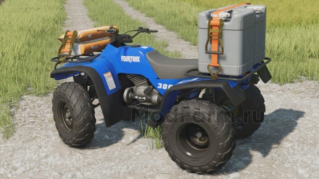 Lizard Fourtrax 300 главная картинка