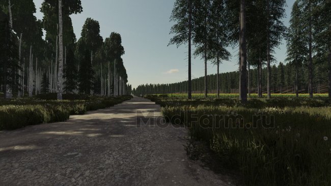 Ocean Side Forest главная картинка