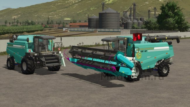 GS12 Pallesse / Essil / Десна главная картинка