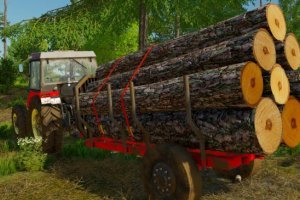 HomeMade Forest Trailer 3