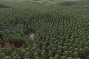 Forest Challenge 3