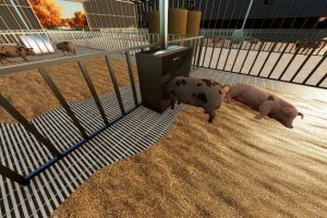 Crooked Creek Hog Shed 2