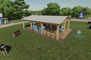 Brazilian Cow Corral 2