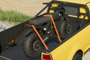 Lizard Vulcano 3