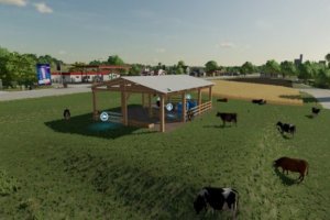 Brazilian Cow Corral 4