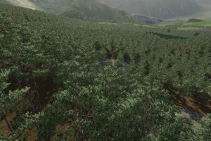 Forest Challenge 2