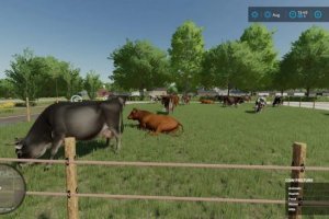Cow Barn Small 2