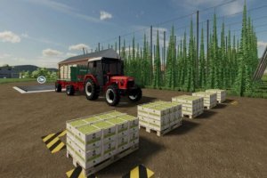 Czech Beer Production 4