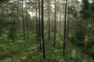 European Environment Sounds 2