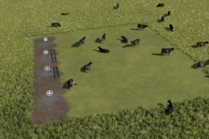 Free pasture for cows 3
