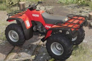 Lizard Fourtrax 300 2