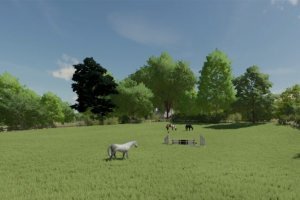 Boconnoc 4