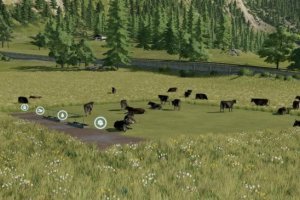 Free pasture for cows 2