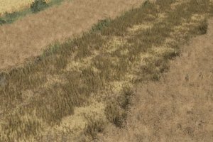Straw Chopper 2