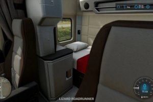 Lizard RoadRunner 5