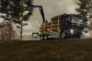MAN TGS Shortwood 3