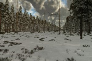 Deer Lands 3