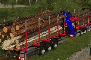 Lizard Short Wood Trailer Pack 2
