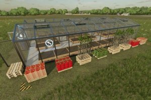 Greenhouses 3