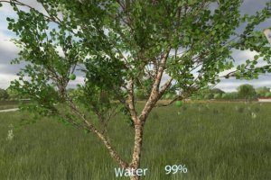 Выращивание яблок - New Apple Tree 3