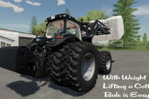 Lizard Configurable Weight 4
