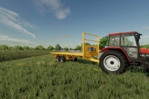 Lizard PLT-600 3