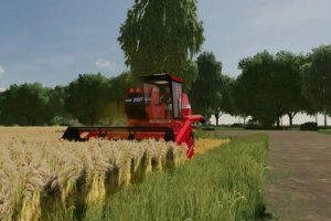 Massey Ferguson 310 / 3640 2