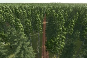 Заброшенная тайга 6