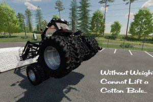 Lizard Configurable Weight 3