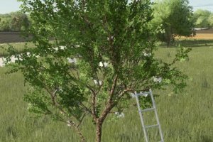 Выращивание яблок - New Apple Tree 2