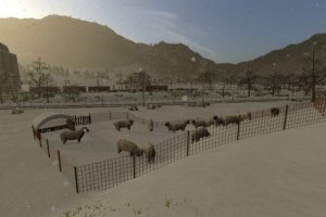 Homemade sheep pen 2