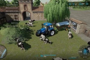 Old Cow Barn 5