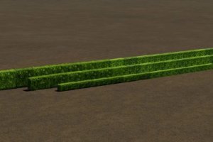 Hedge Pack 2