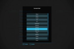 Workplan 2