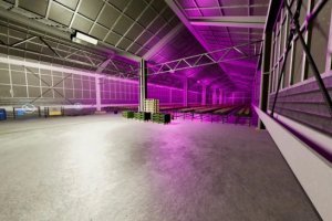 Real Greenhouse 5
