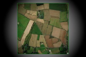 Saxthorpe Farms 2