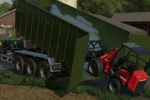 Lizard Container 3