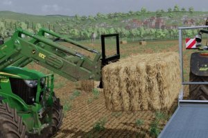Lizard Bale Fork 3