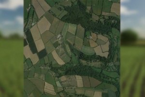 Edge Farm 5
