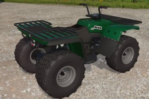 Lizard Quad Bear 3