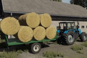 Lizard Bale Trailer 2