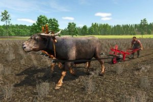 Draft Animals Pack 2