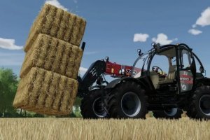 Case IH Farmlift 742 2