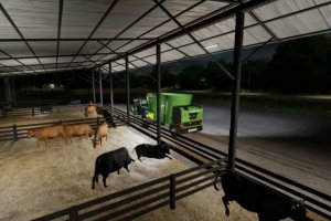 Confining Cows 3