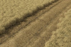 Straw Chopper 4