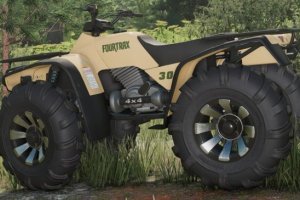 Lizard Fourtrax 300 3