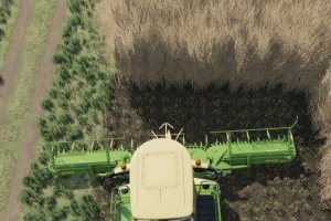 Krone X-COLLECT 900-3 Poplar 3