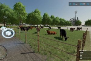 Cow Barn Small 3